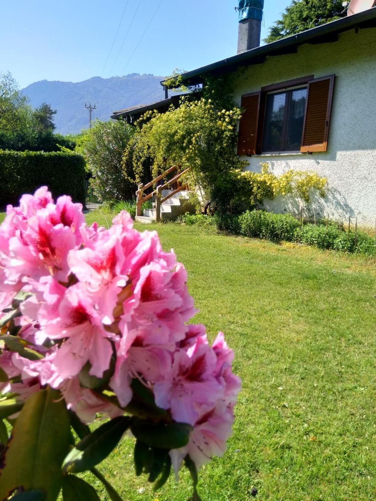 Villa Anna Sorico Extérieur photo